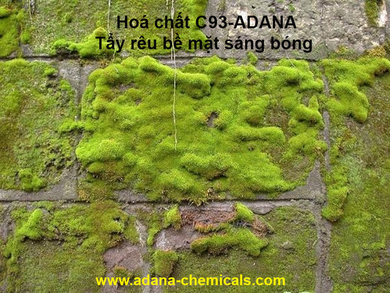 Hoá chất tẩy rong rêu C93